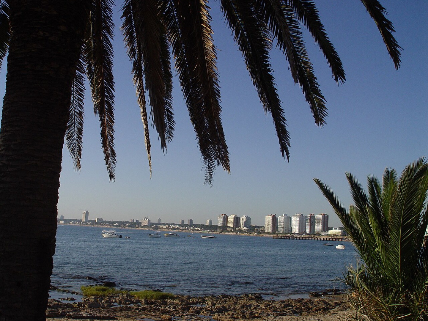 Mansa Beach in Punta del Este, Uruguay