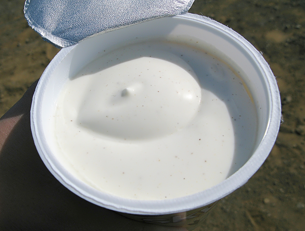 Vanilla skyr, a thick Icelandic cultured dairy product