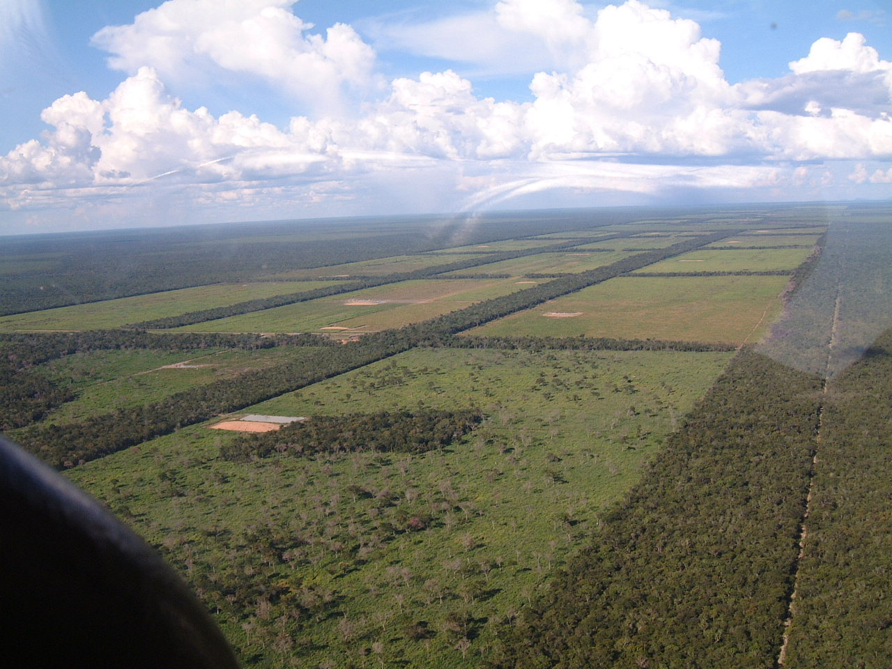 Aerial view of Chaco forest and clearings for cattle grazing in Paraguay
