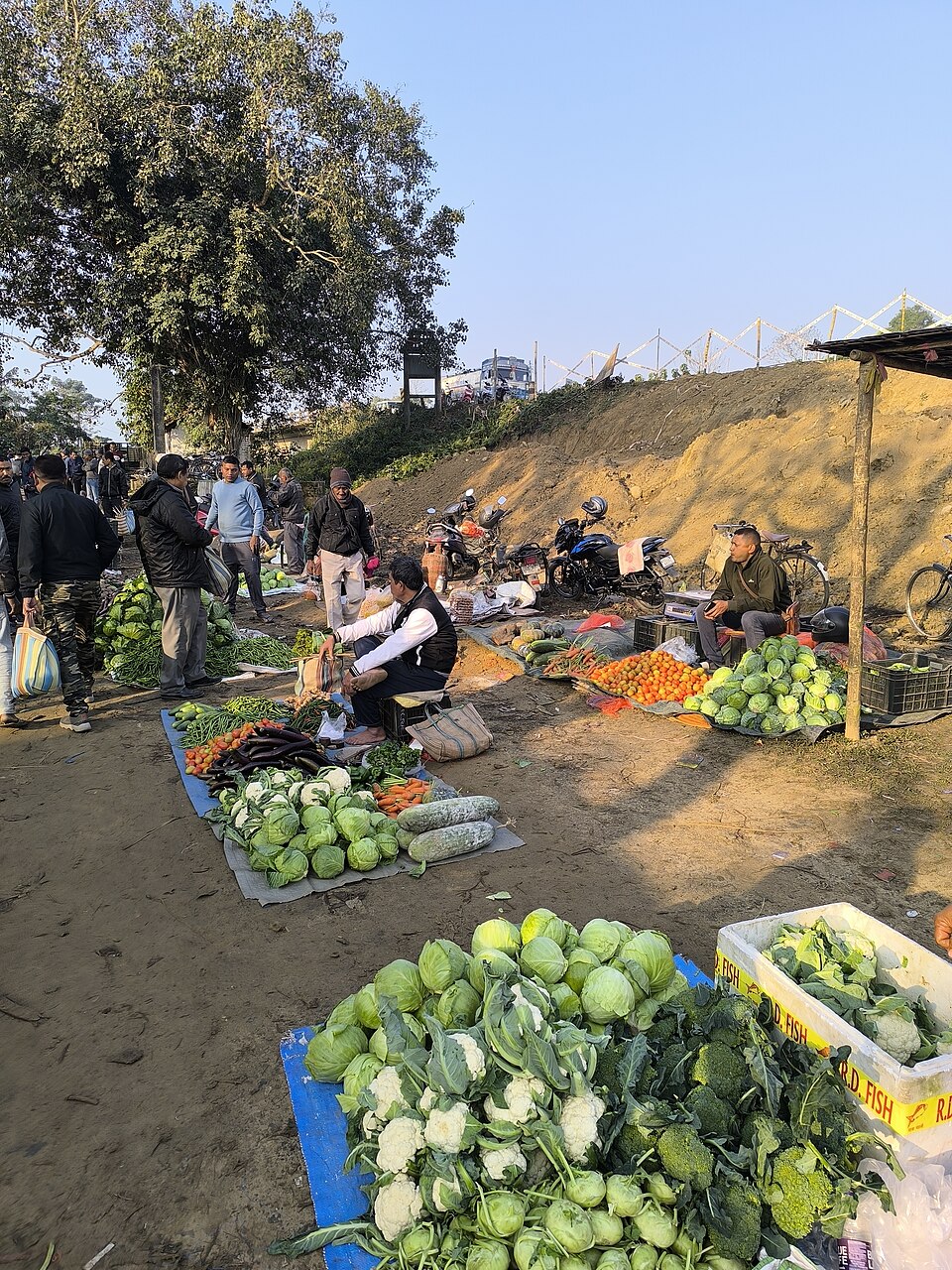 Produce stalls at Jhanji market in Assam