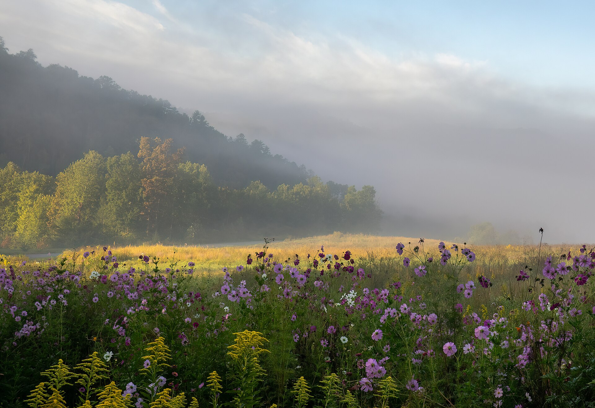 Mist over a meadow and forest in the Great Smoky Mountains of Tennessee