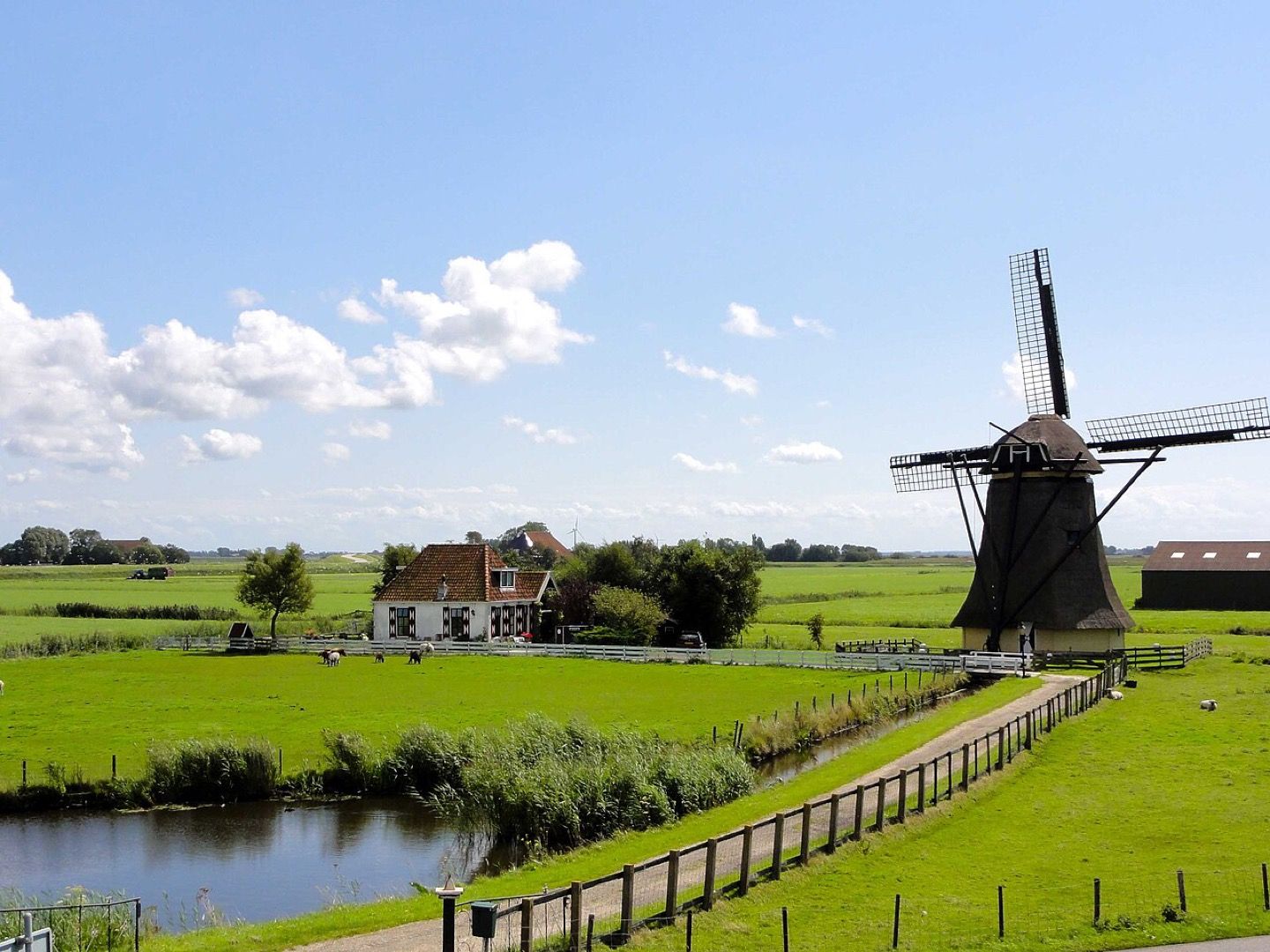 A windmill near Workum