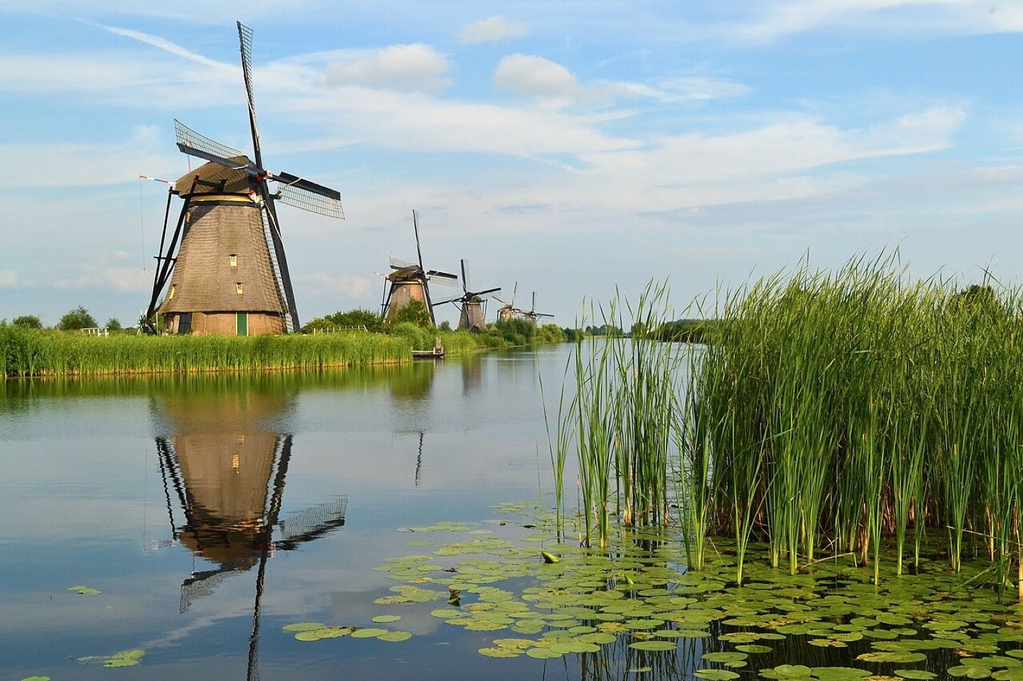 Windmills along the water at Kinderdijk