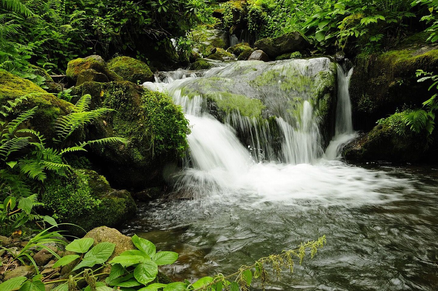 A waterfall in Mtirala National Park