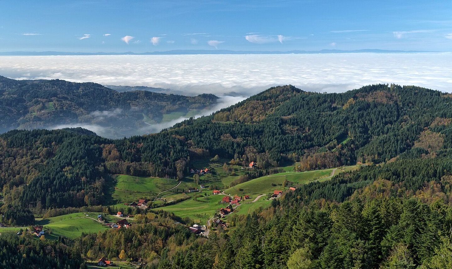 Forested ridges and valleys seen from Hohfelsen in the Black Forest