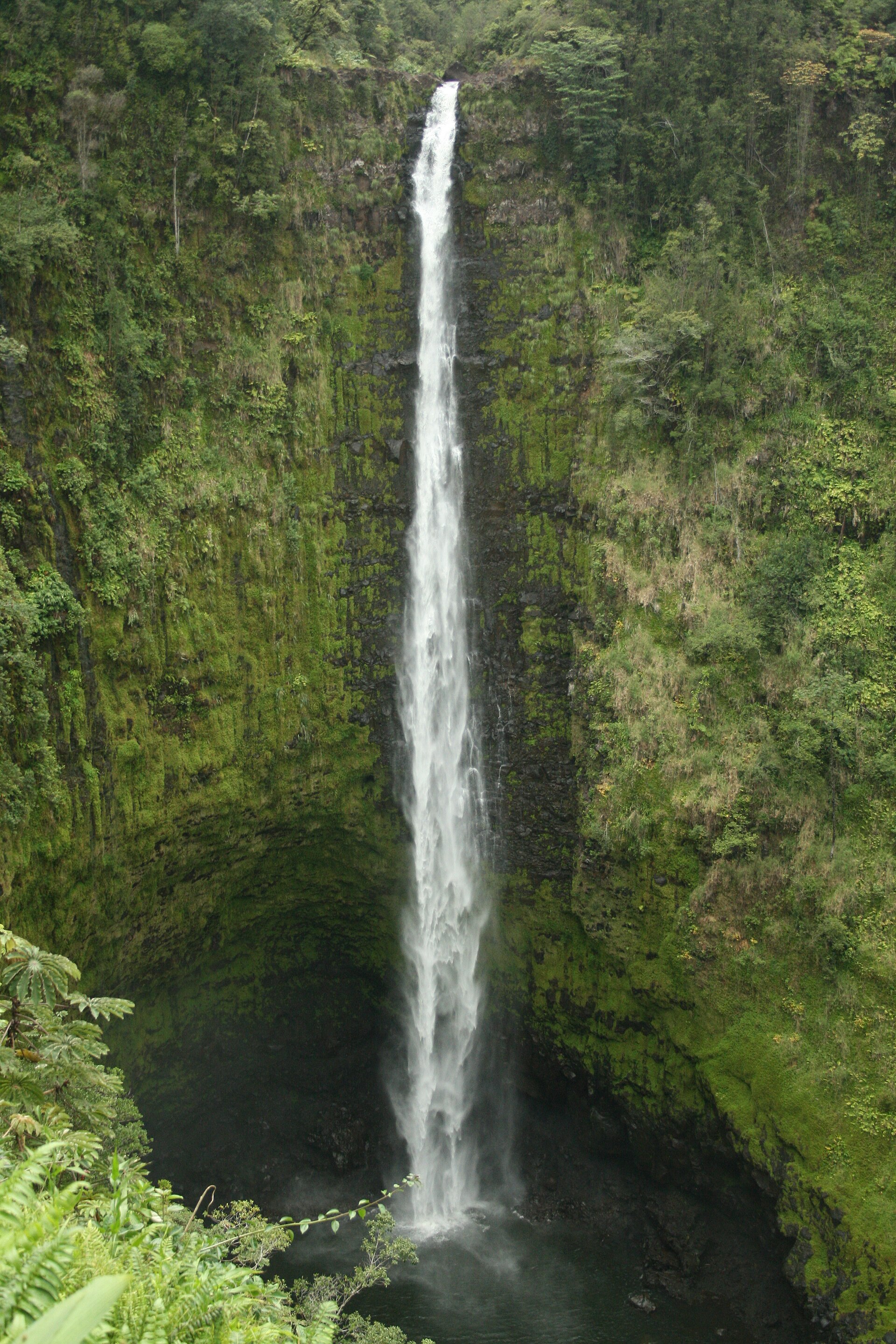 ʻAkaka Falls dropping through the rainforest on the island of Hawaiʻi