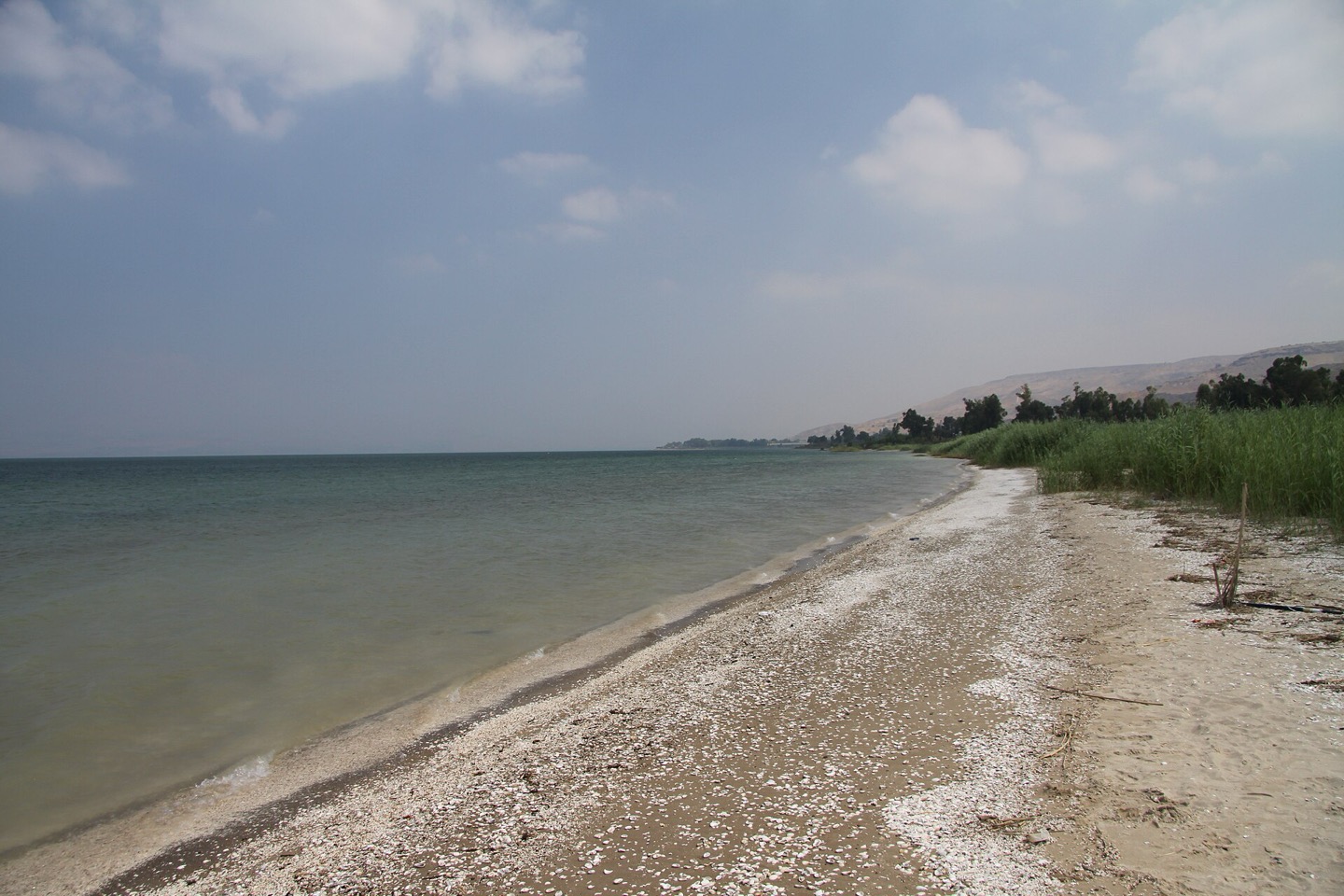 The shore of the Sea of Galilee in summer