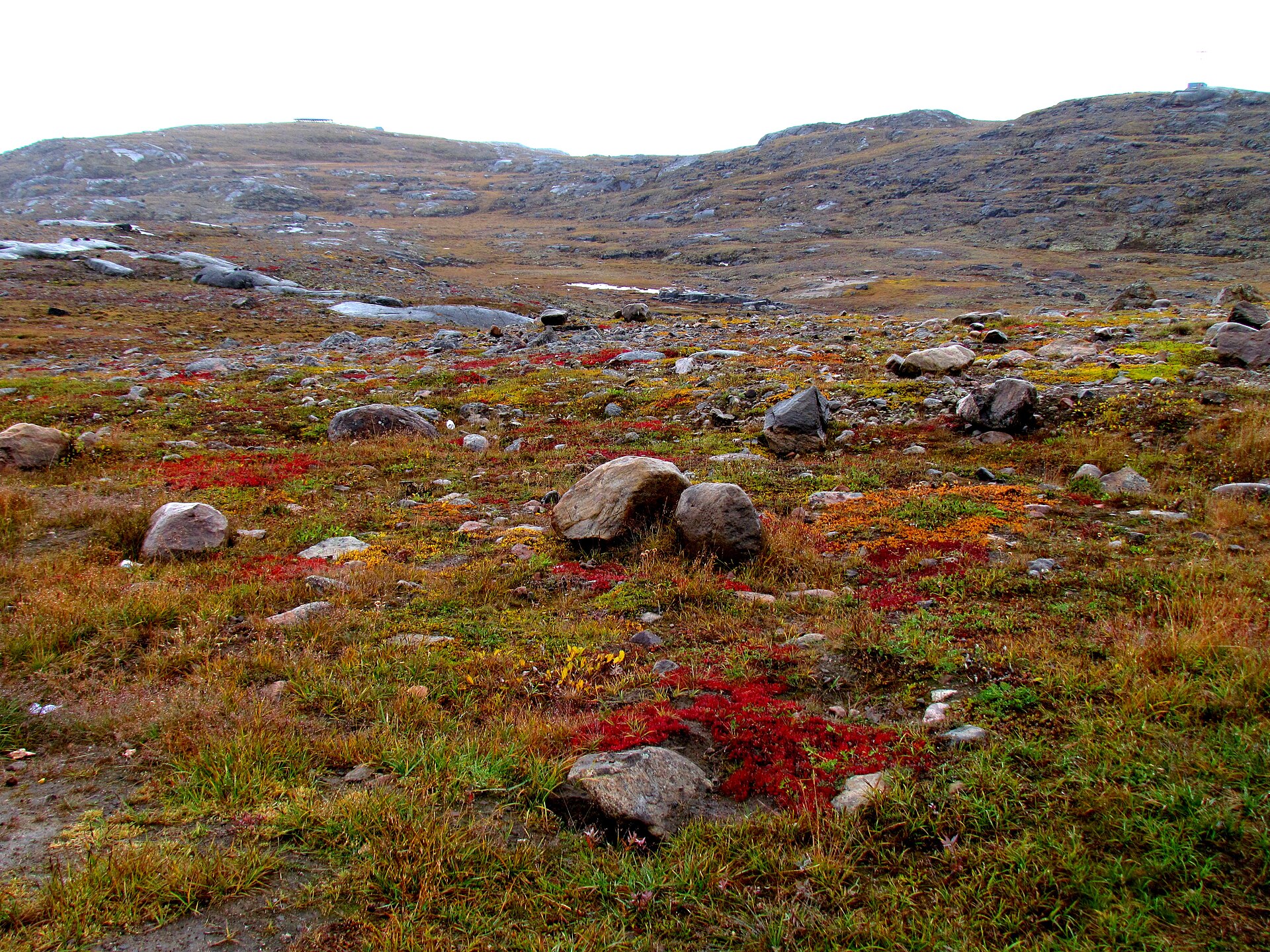Tundra stretching across the landscape of Nunavut, Canada