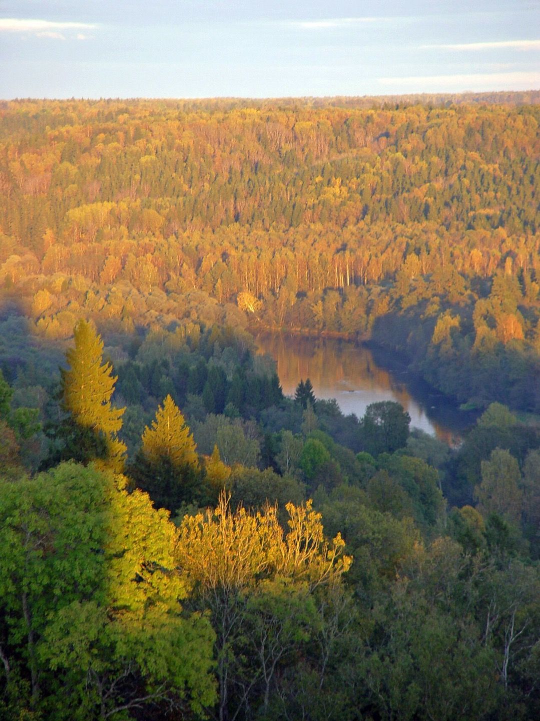 The Gauja valley seen from Turaida
