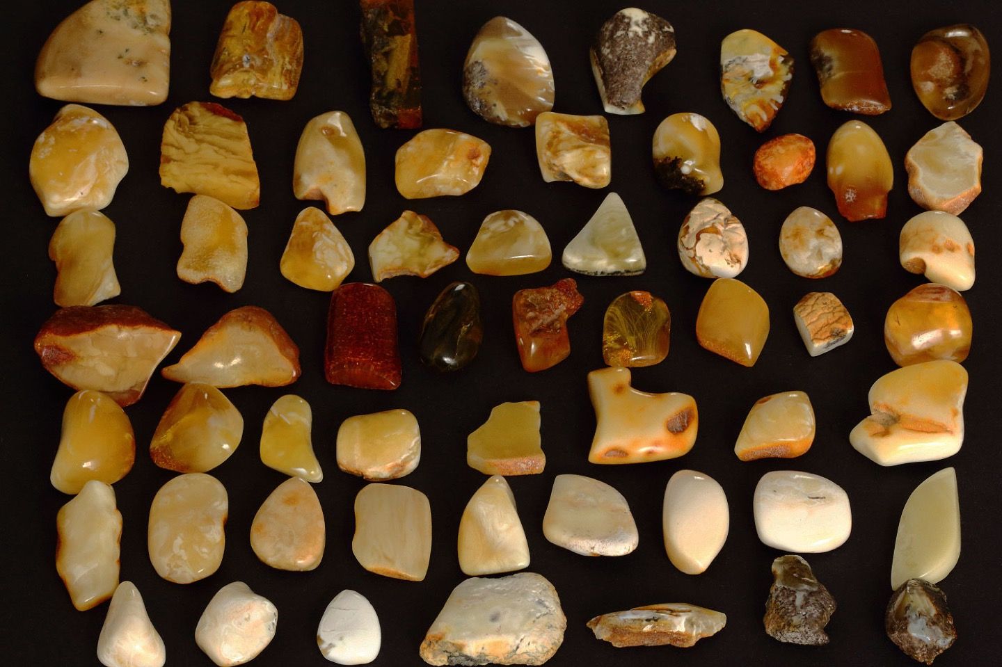 Baltic amber