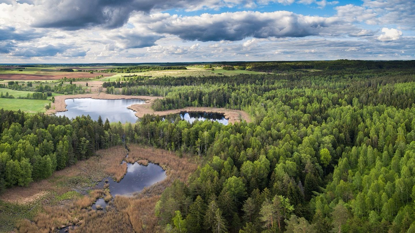 Lake Žadvainiai