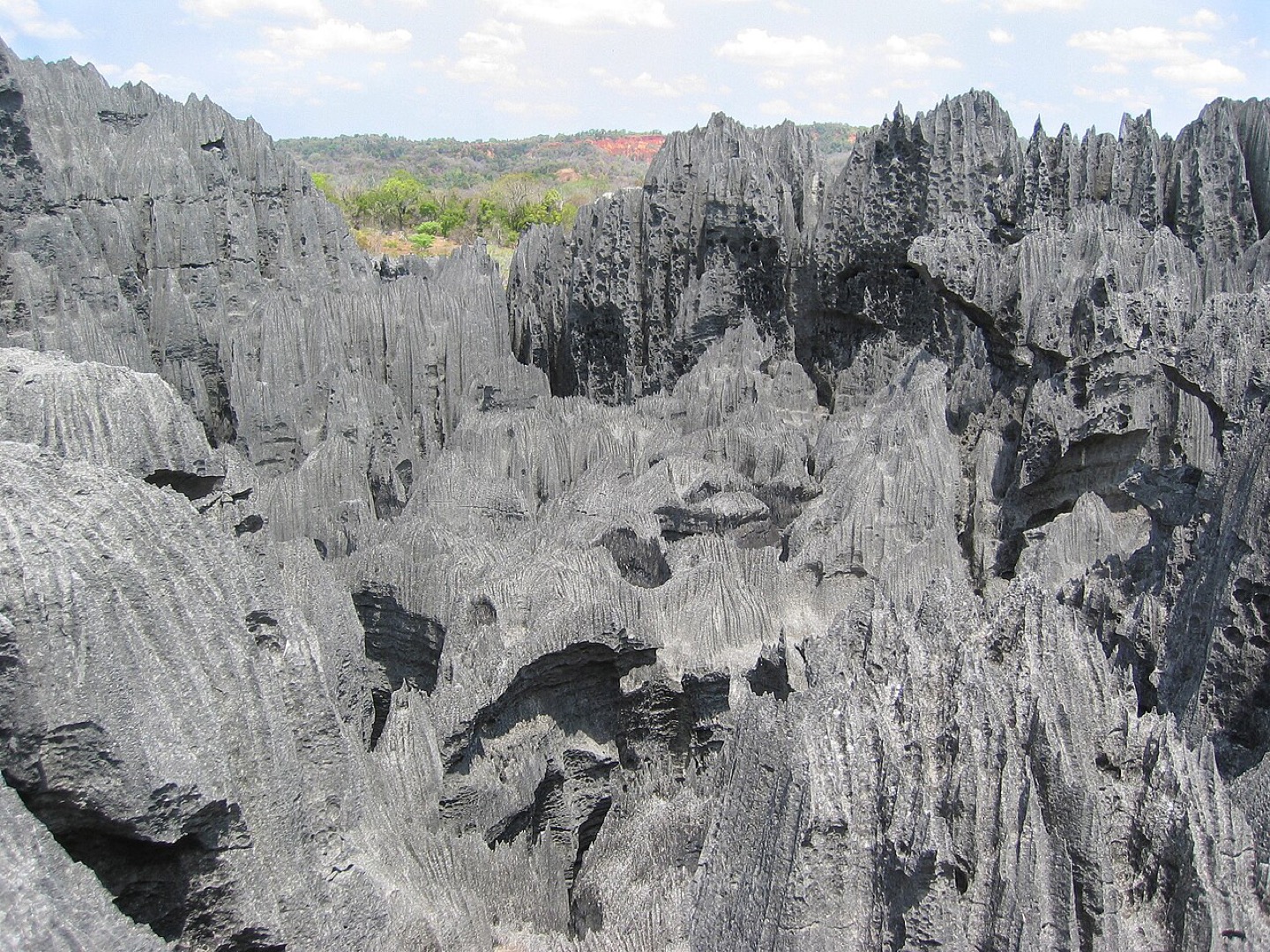 The limestone pinnacles of Tsingy de Bemaraha, Madagascar