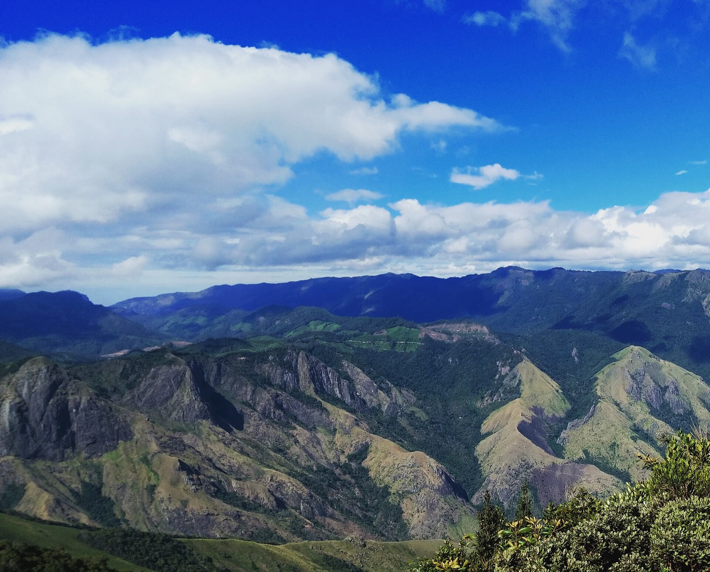 The hills near Munnar in Kerala, India