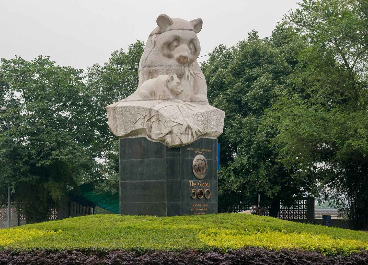 A giant panda at the breeding and research base outside Chengdu
