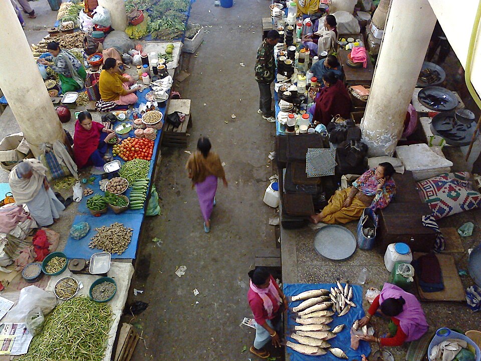 The aisles of Ima Keithel, the mothers’ market in Imphal, seen from above