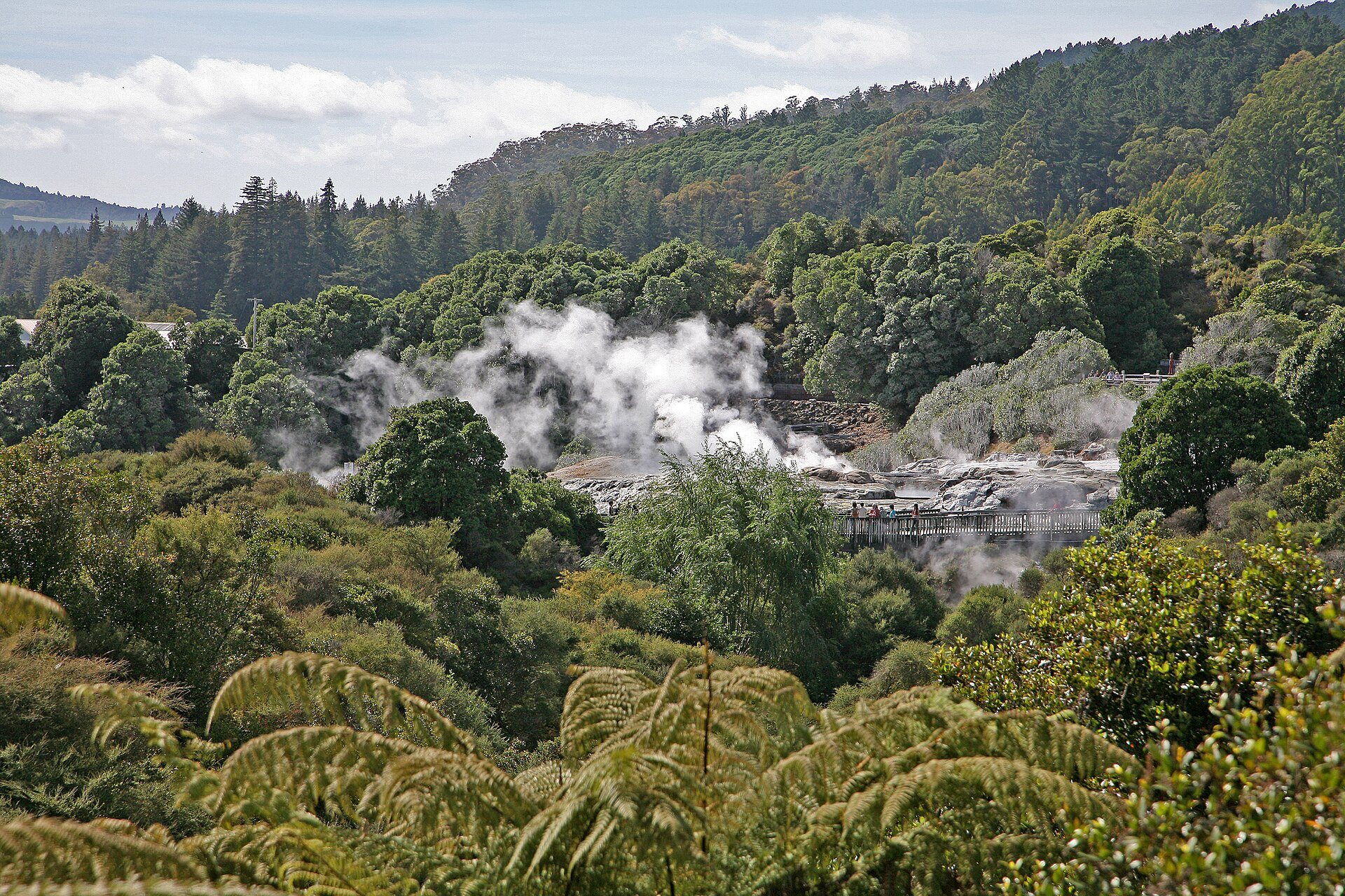 Steam rising from the geothermal landscape at Whakarewarewa in Rotorua, New Zealand