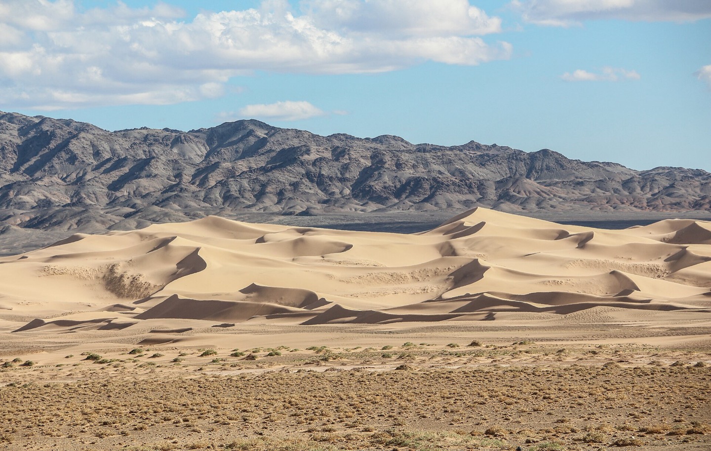 The Khongoryn Els dunes rising out of the Gobi in southern Mongolia