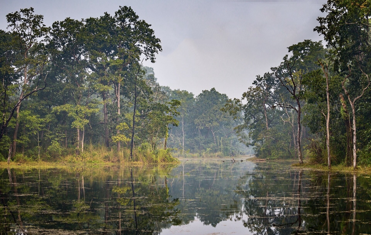 Wetlands in Chitwan, Nepal
