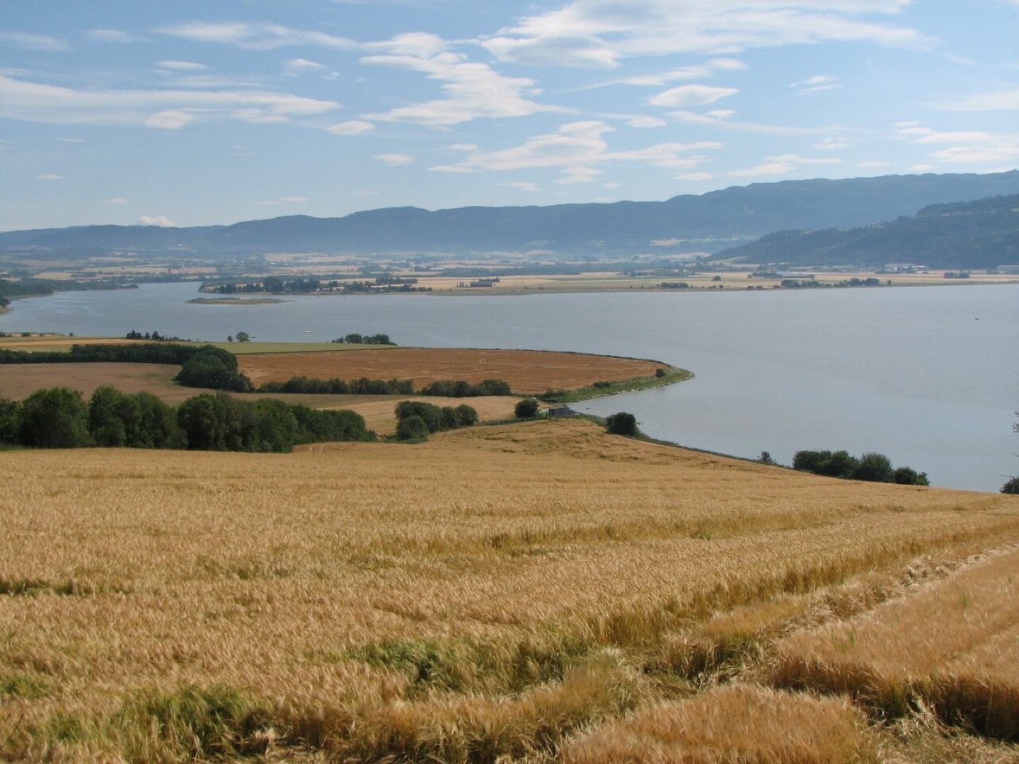 Farmland beside Trondheimsfjord