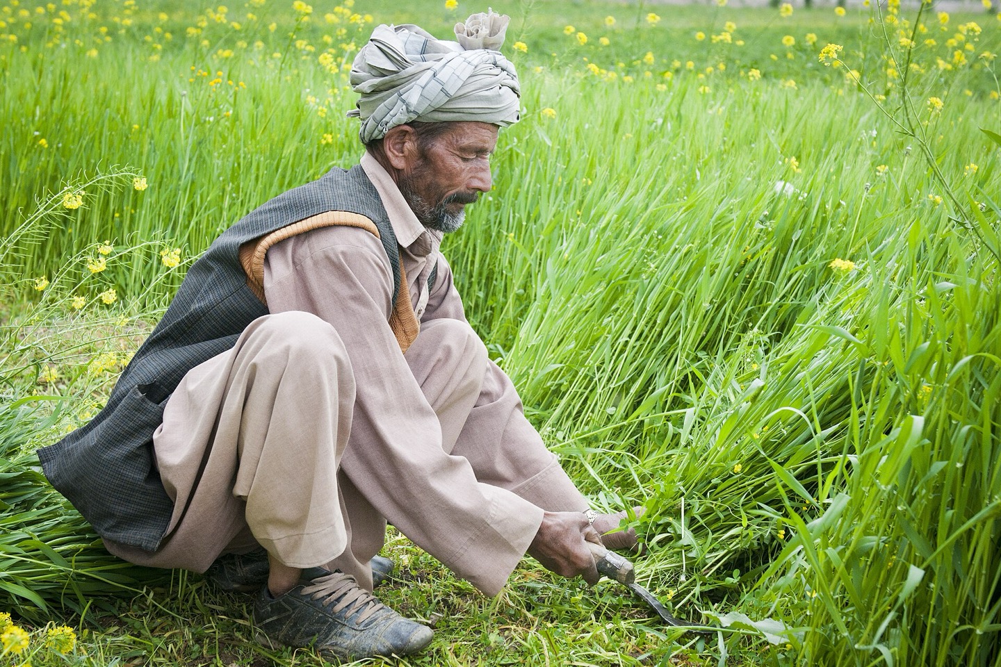 A farmer working in Bamyan, Afghanistan