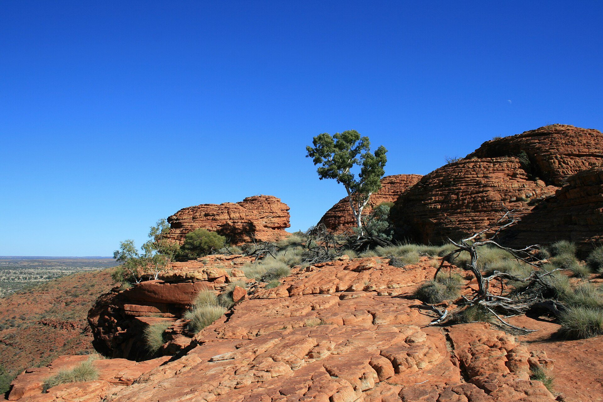A view from the rim of Kings Canyon in Australia’s Northern Territory