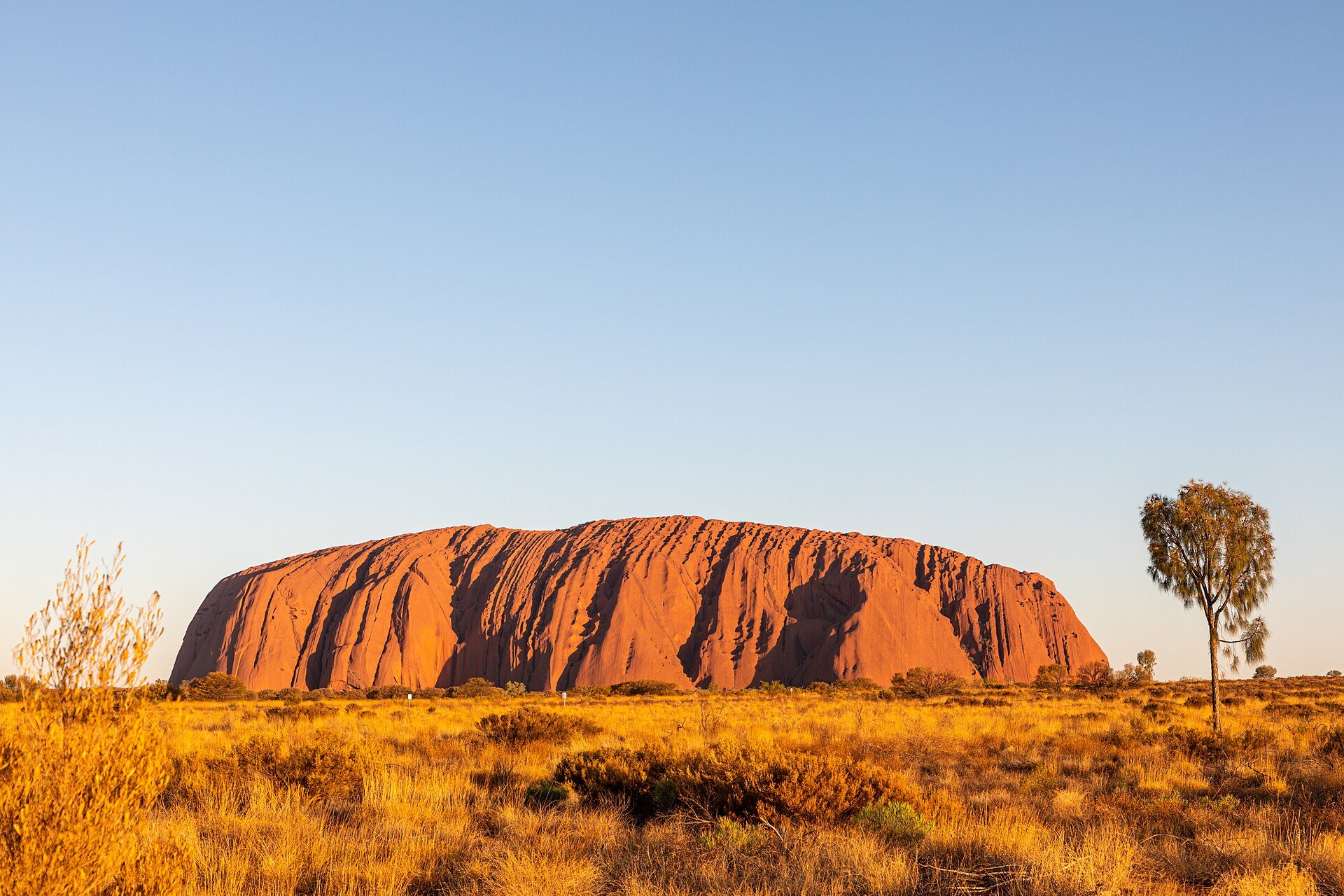 Uluru glowing red at sunset in central Australia