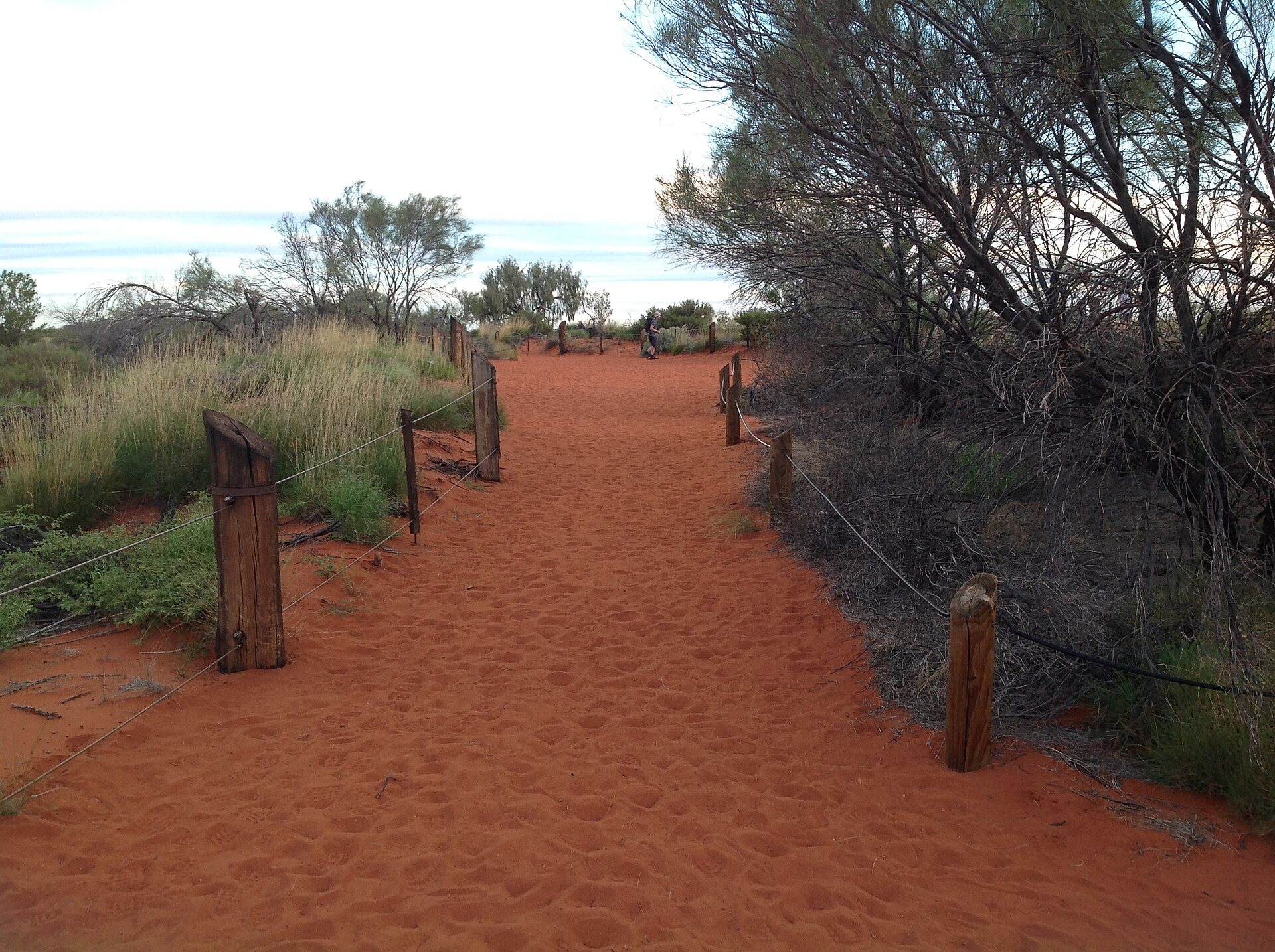 Walking paths through the red desert at Uluṟu-Kata Tjuṯa National Park in Australia