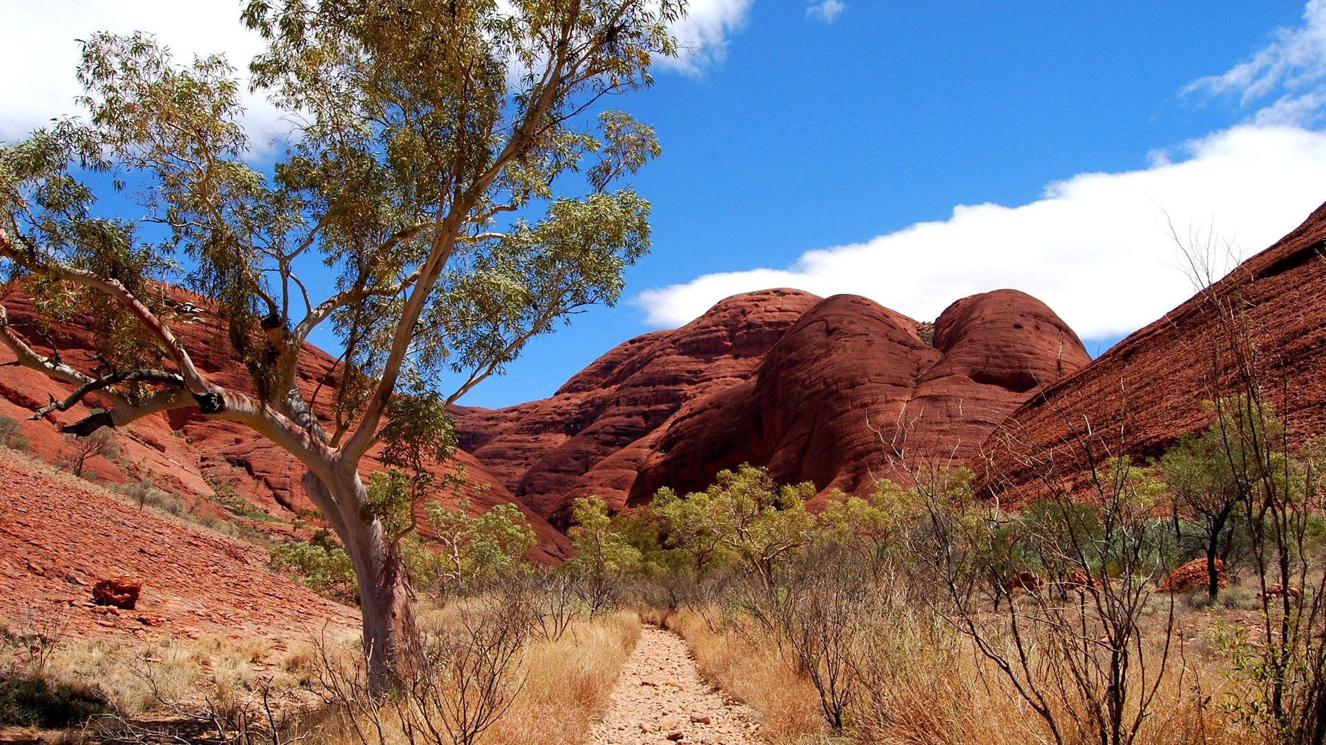 The Valley of the Winds walking route through Kata Tjuṯa in central Australia