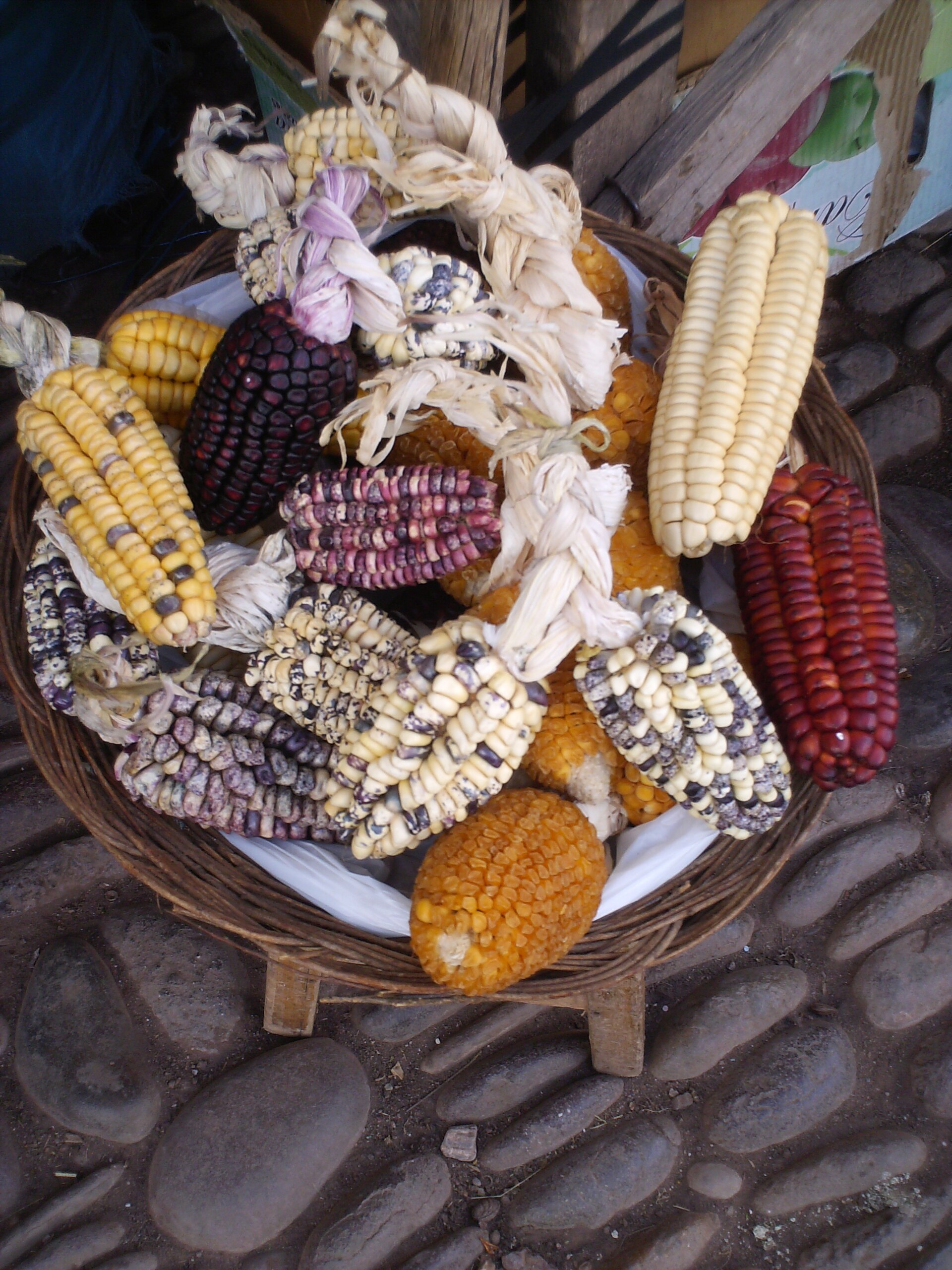 Colourful dried corn in a basket in Pisac, Peru