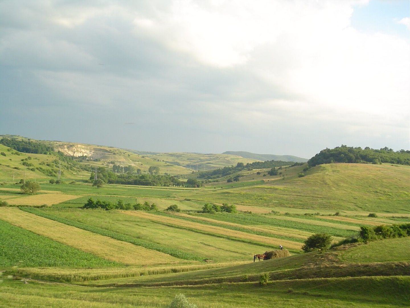 The hills of Transylvania