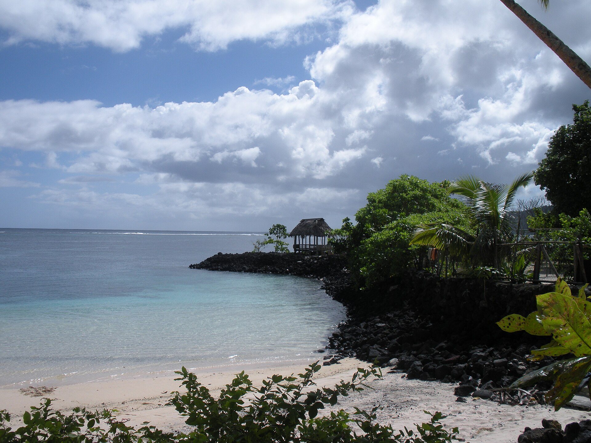 A traditional beach fale and palm trees on the Samoan coast