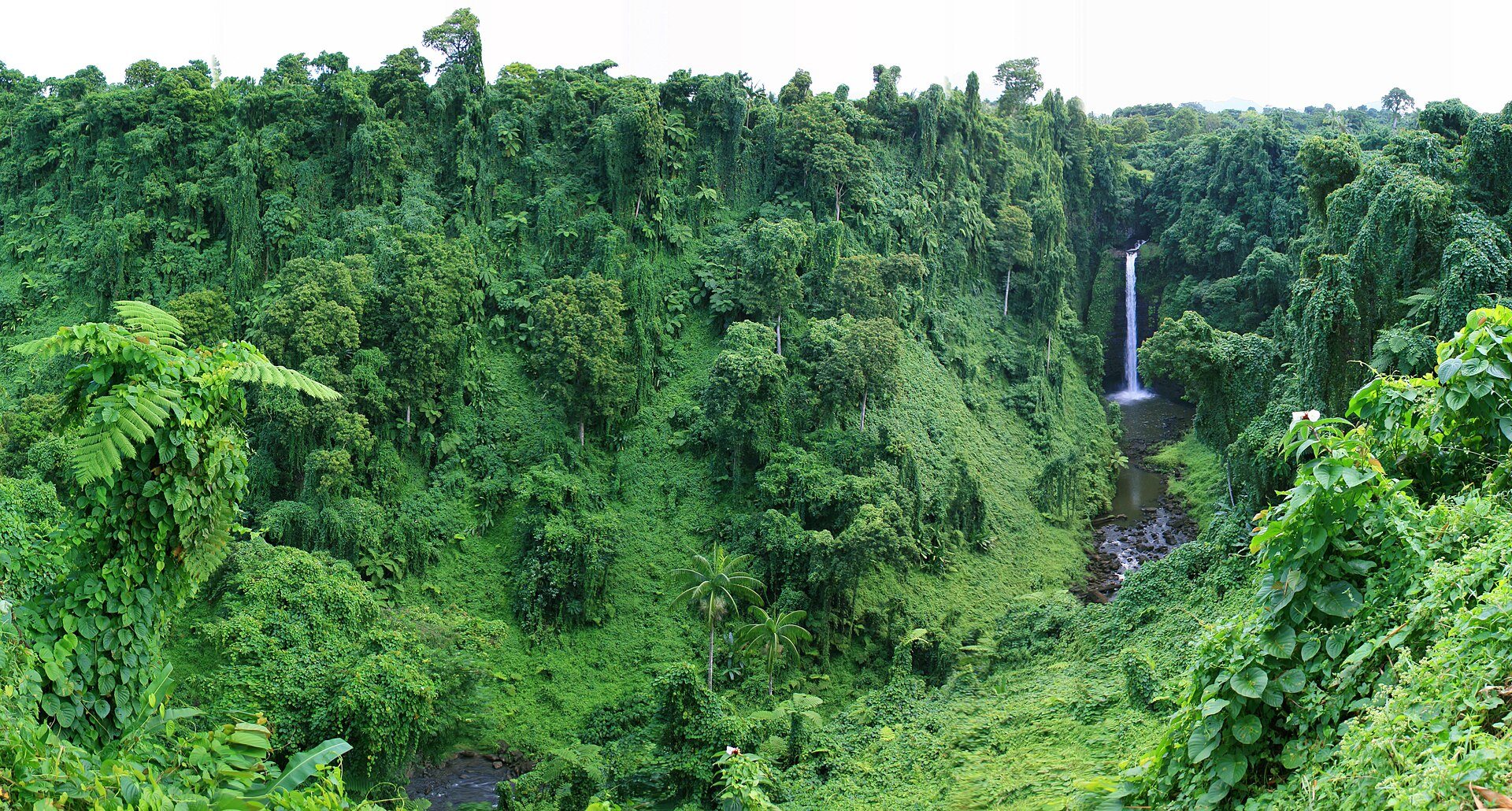 Sopoʻaga waterfall surrounded by rainforest on Upolu, Samoa