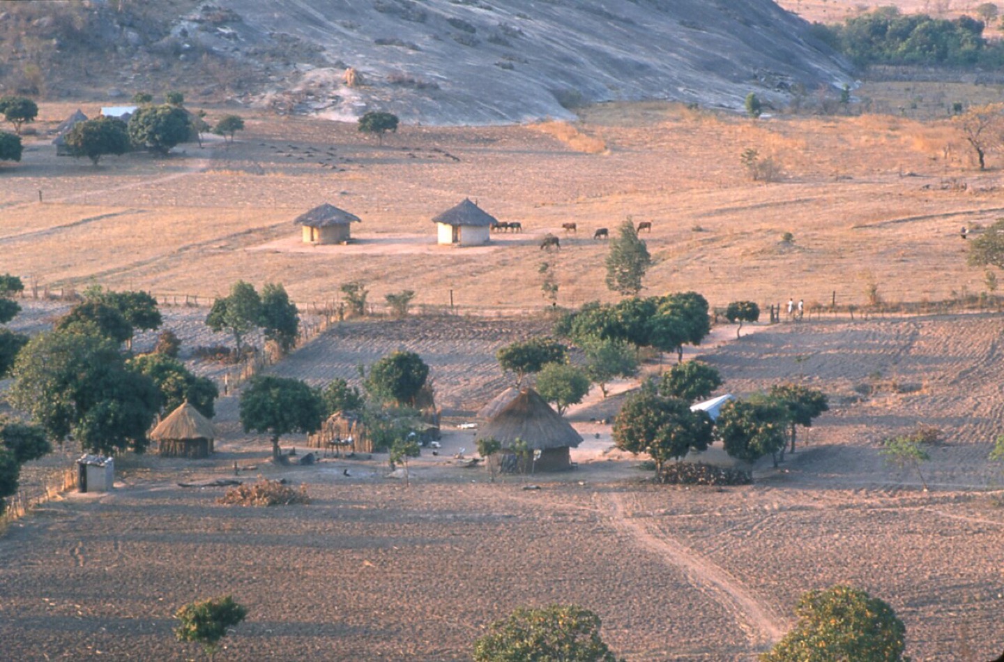 Farmland in the Shona countryside of Zimbabwe