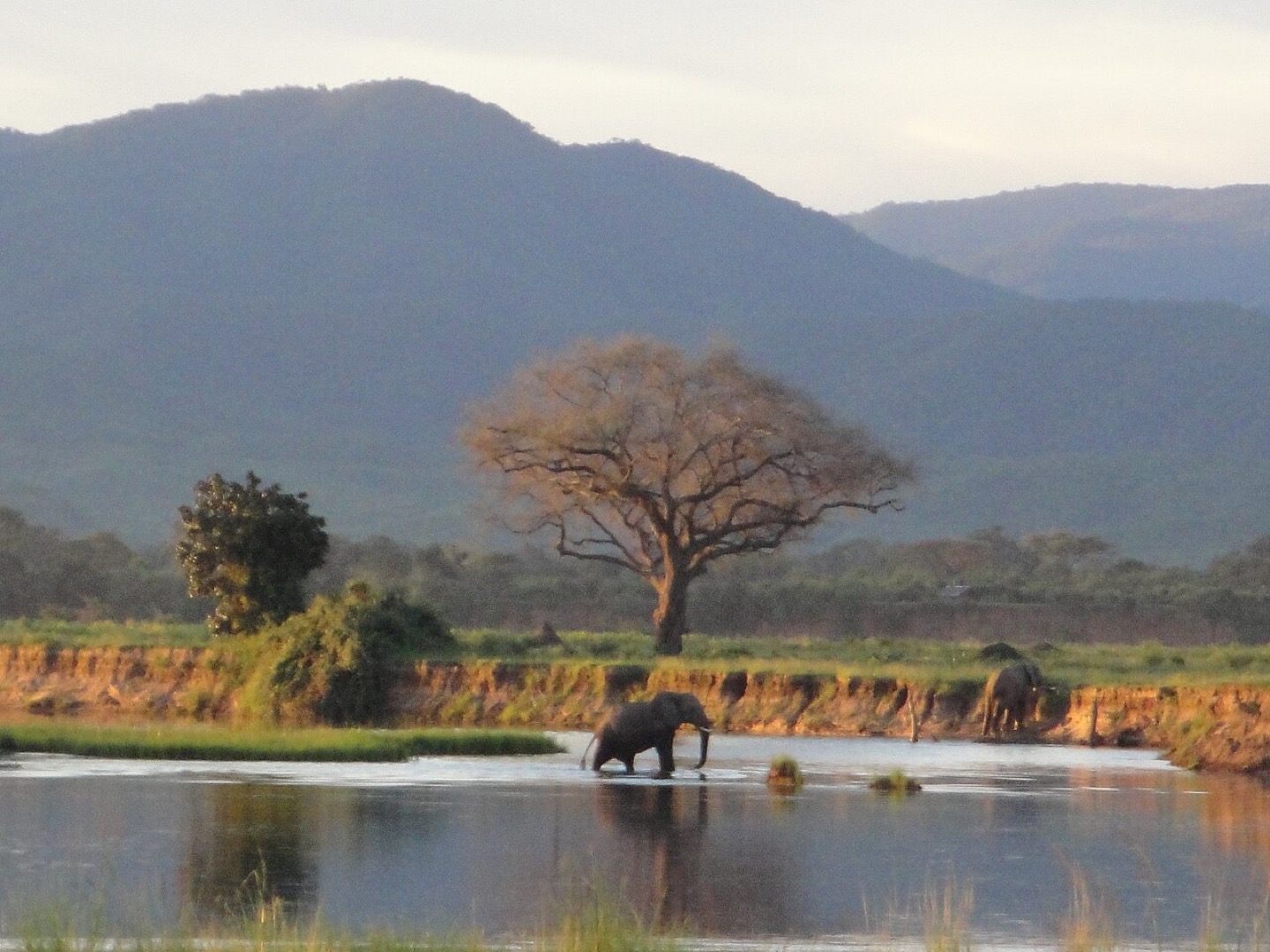 The Zambezi River at Mana Pools National Park, Zimbabwe
