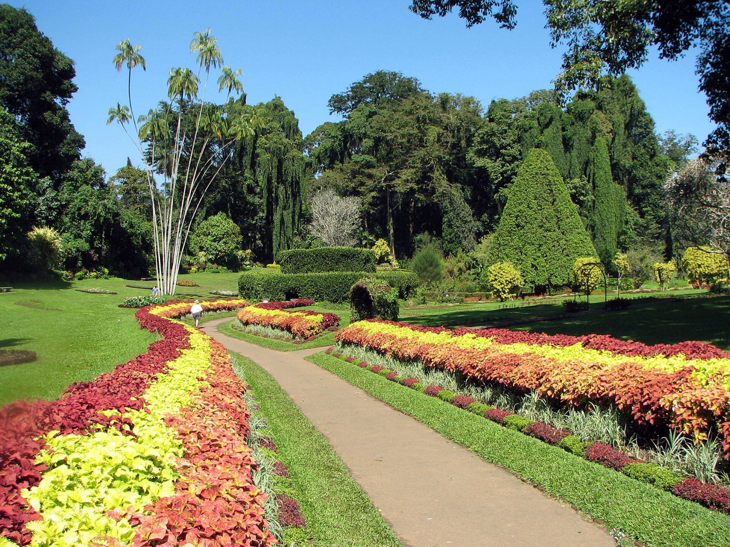 The Royal Botanic Gardens at Peradeniya, Sri Lanka