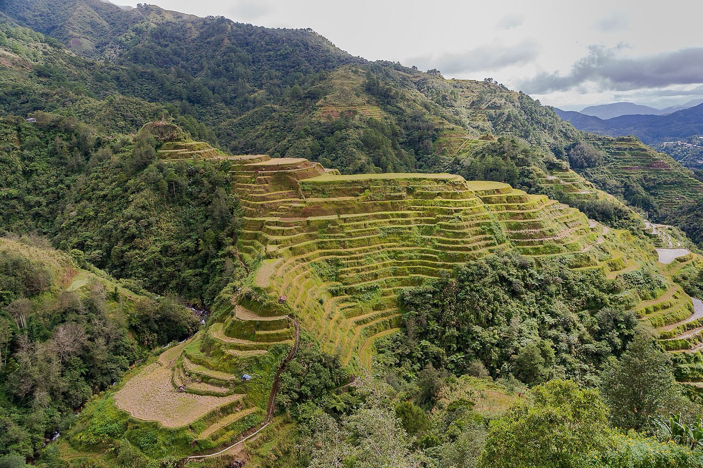 The Banaue Rice Terraces in the Philippines