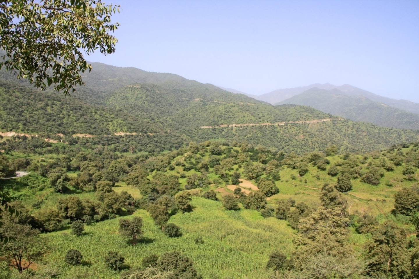 The landscape near Massawa in Eritrea