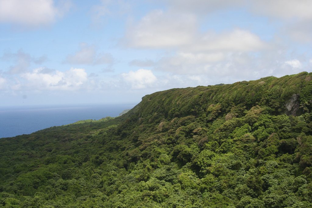 Forested hills and the coast in ʻEua National Park, Tonga