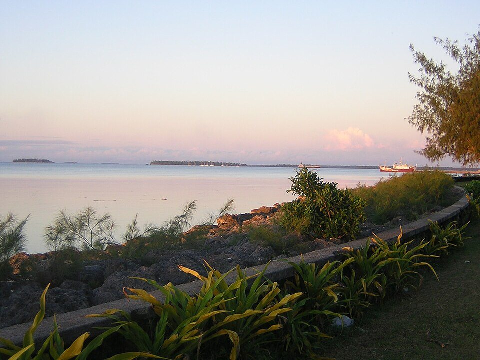 The rocky coast and Pacific waters of Tonga