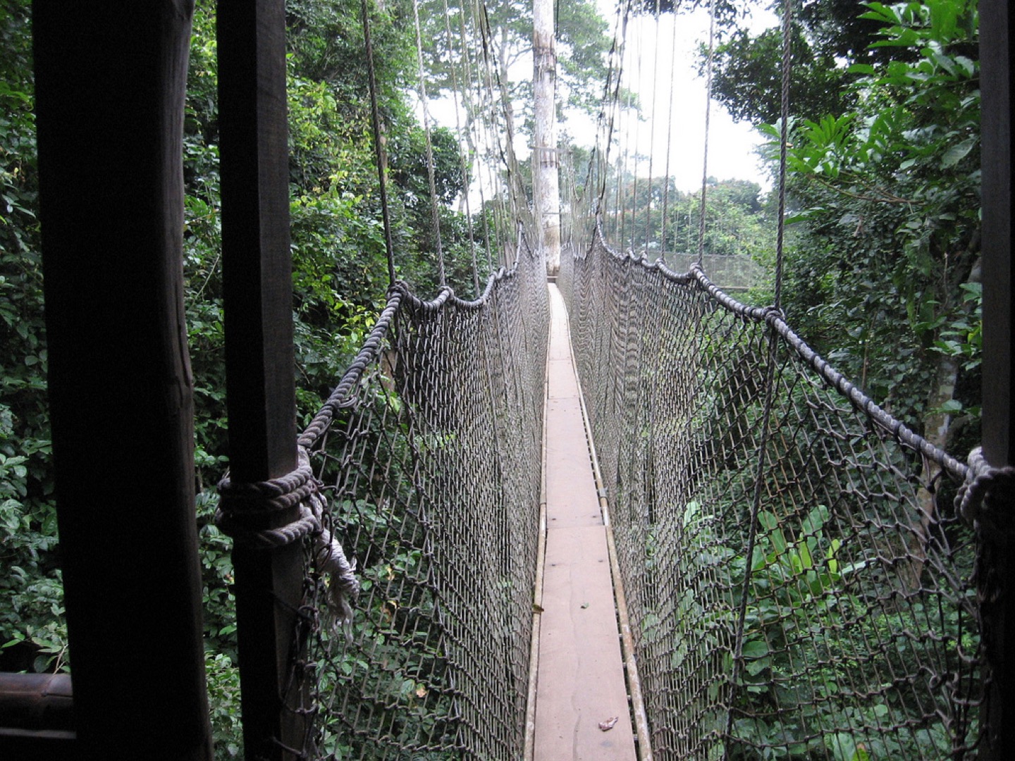 The canopy walkway in Kakum National Park, Ghana