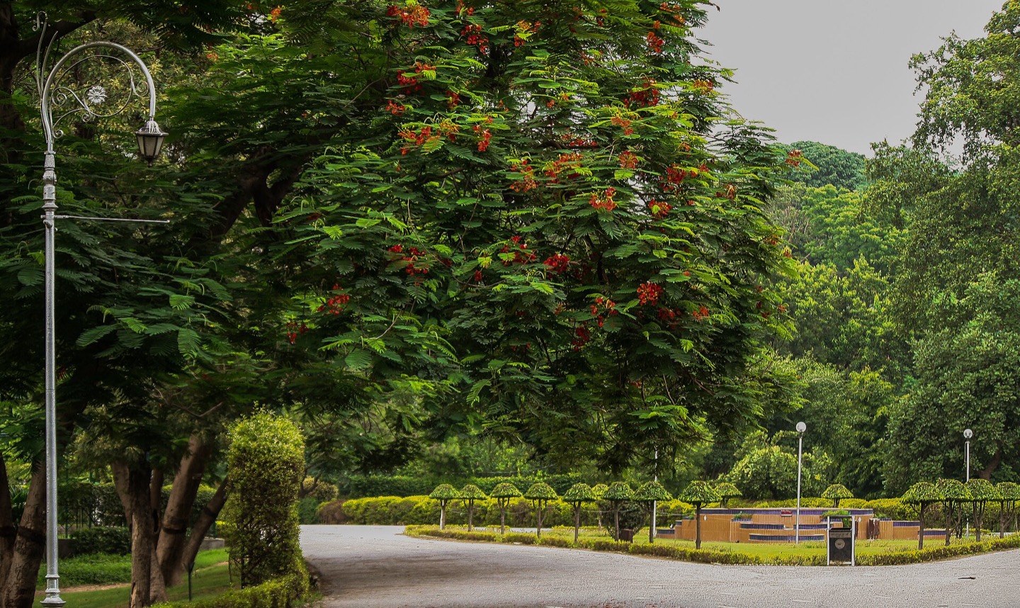 The gardens of Bagh-e-Jinnah in Lahore, Pakistan