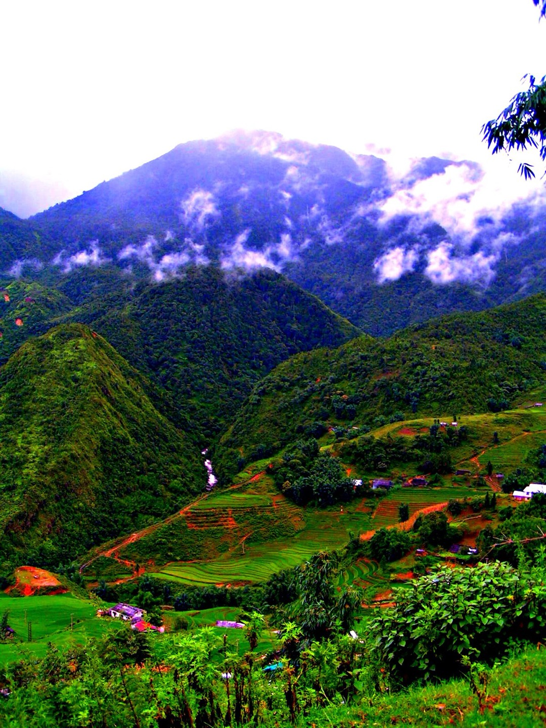 Terraced farmland in the mountains near Sa Pa, Vietnam