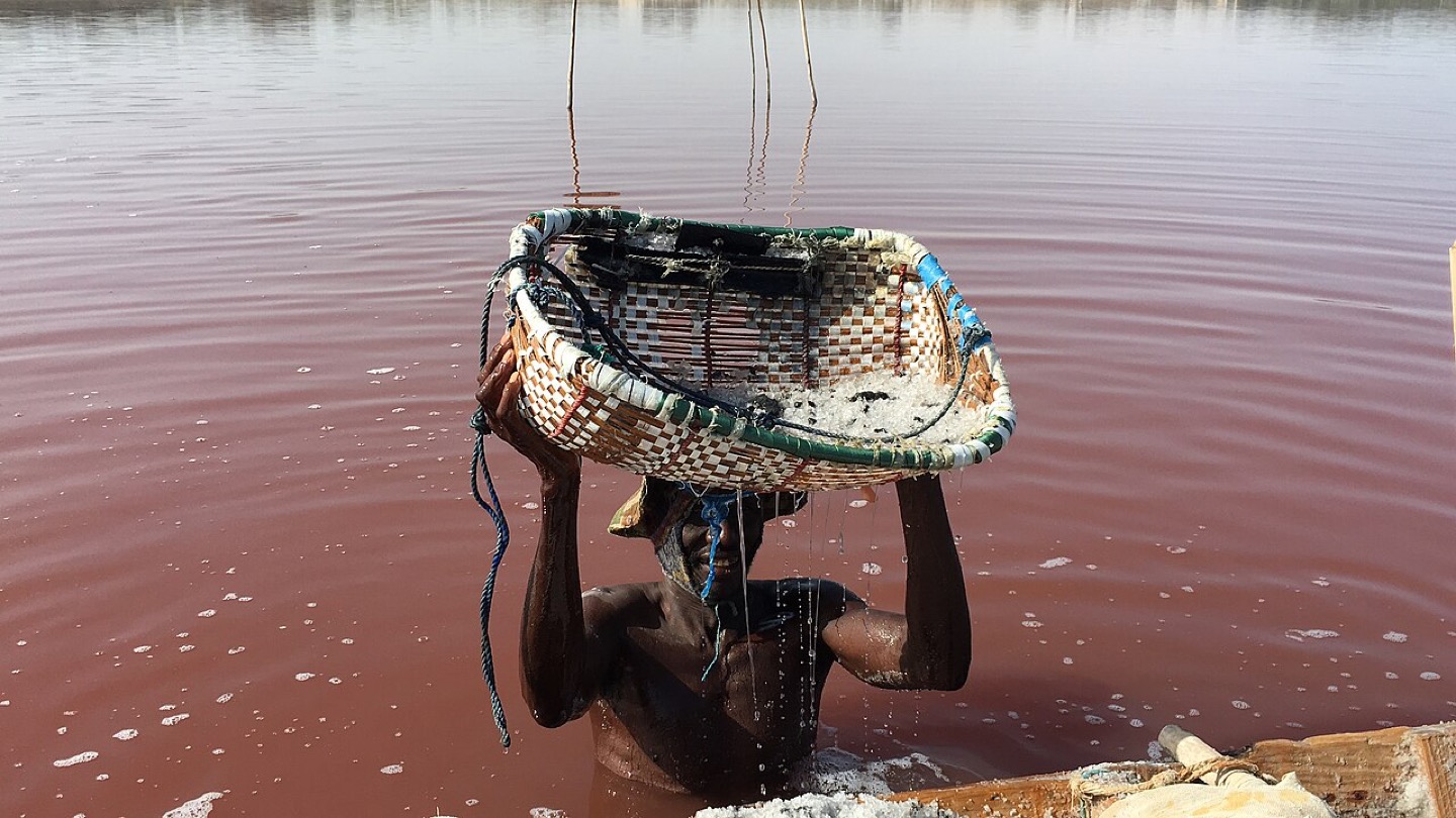A worker collecting salt at Lake Retba, Senegal