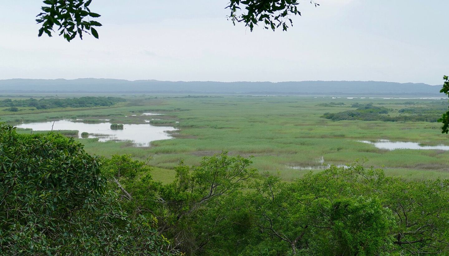 The uMthoma boardwalk in iSimangaliso Wetland Park, South Africa