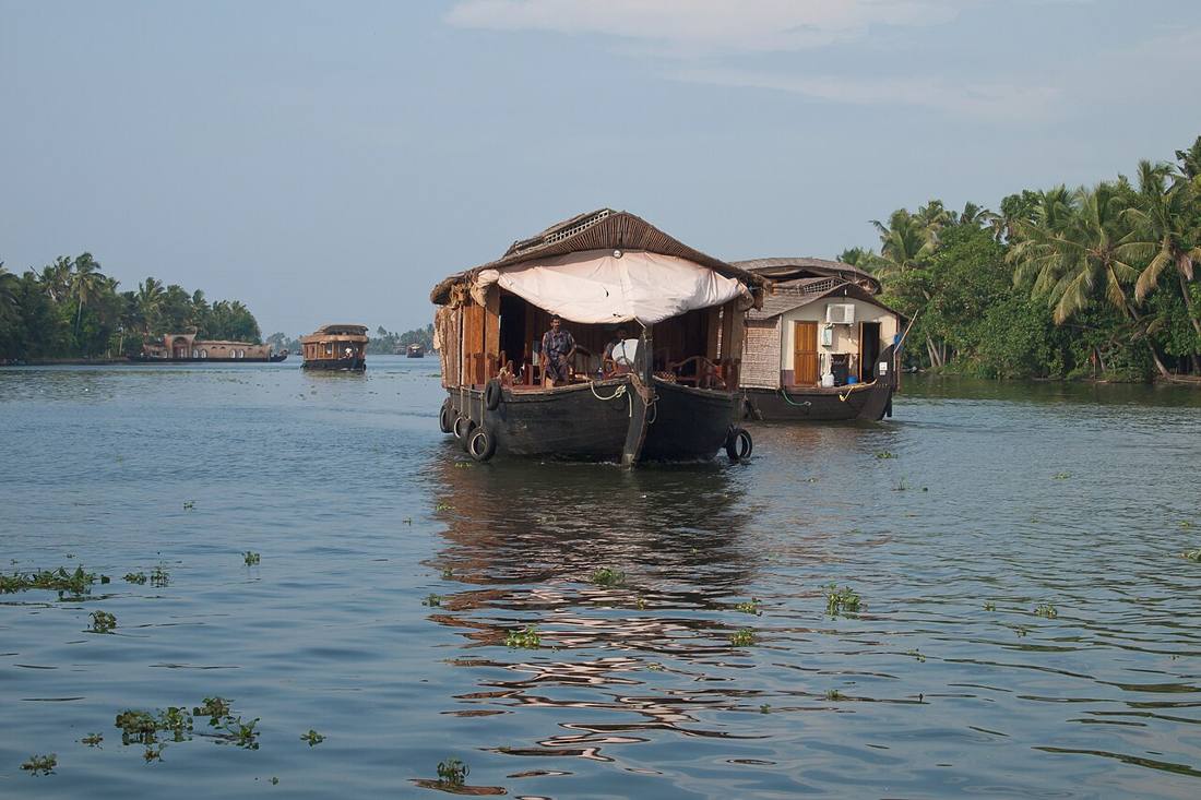 Thatched houseboats on a wide backwater lined with coconut palms