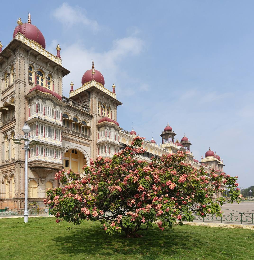 The domes and arches of Mysore Palace behind a flowering tree