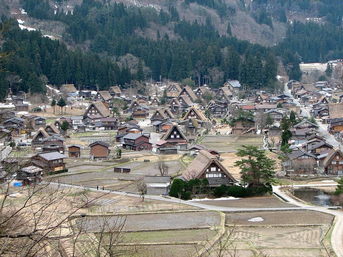 The steep thatched roofs of Ogimachi village among rice fields below forested hills