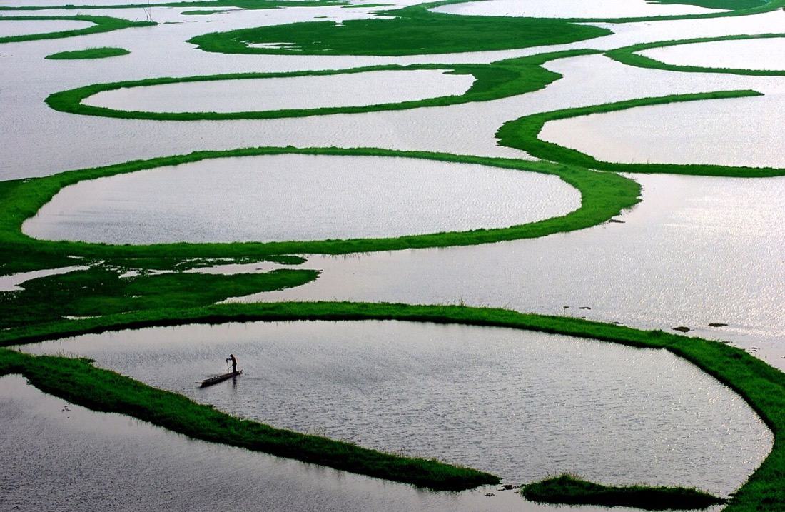 Green rings of floating phumdi on the still water of Loktak Lake, with a lone boat